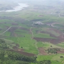 Toraj