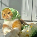 مریم بابایی
