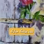 ویدا نظری 
